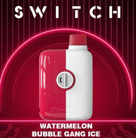 MR FOG SWITCH WATERMELON BUBBLE GANG ICE 5500